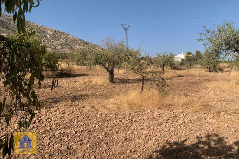 Cortijo i Cebas, Granada, Cebas - € 85.000 | Ref: cs2185 - foto 42